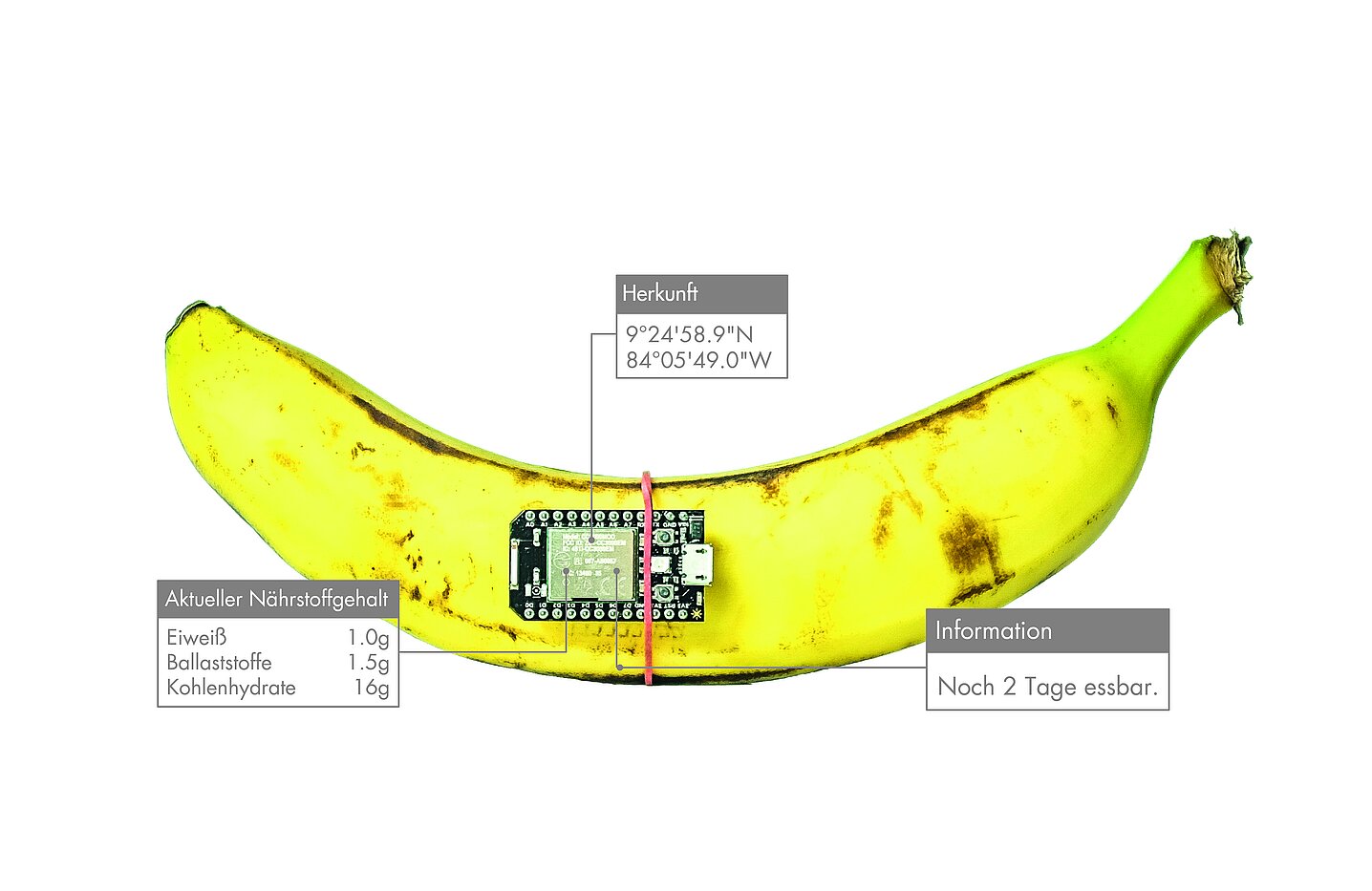 Eine Banane mit einem Mikrochip, der Informationen zu Nährstoffen, Herkunft und Verwertbarkeit liefert